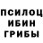 Псилоцибиновые грибы ЛСД Frank Germansky
