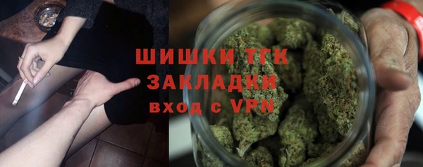 мдпв Гатчина