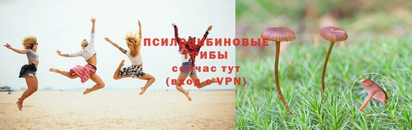 меф Армянск