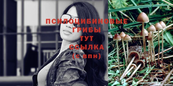 герыч Аркадак